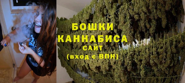 ешки Аркадак