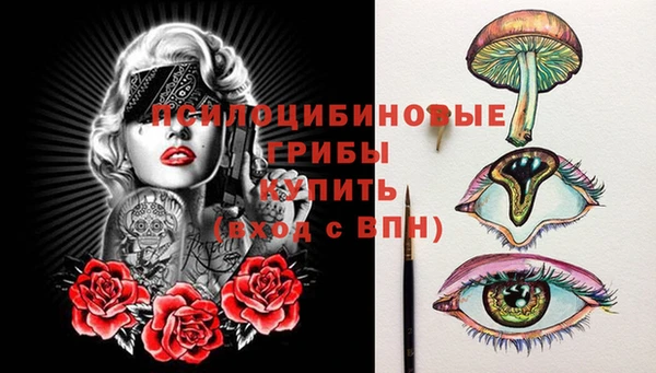 бошки Арсеньев