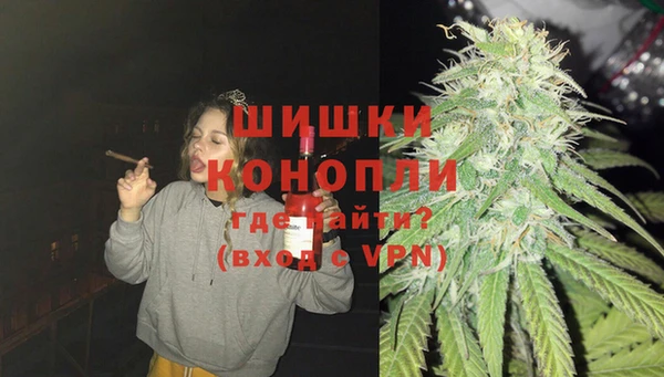 ешки Аркадак