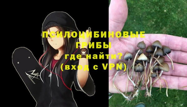 бошки Арсеньев