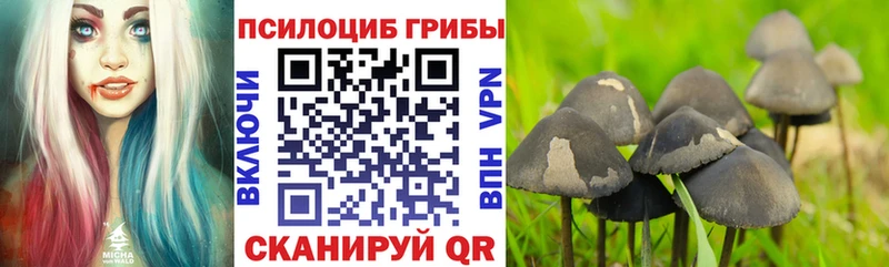 мега ONION Полярные Зори Псилоцибиновые грибы Psilocybine cubensis