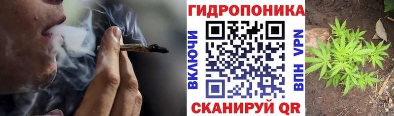 Каннабис VHQ  блэк спрут   Полярные Зори 